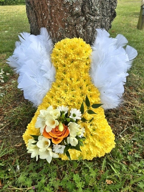 Beautiful Angel Tribute