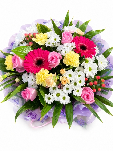 The Bright Handtied