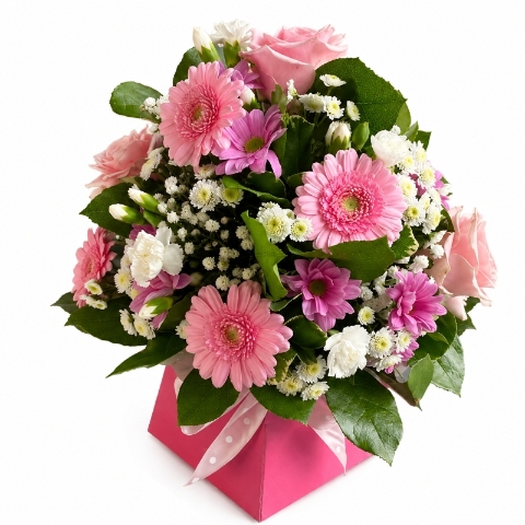 The Pink Rose & Germini Box